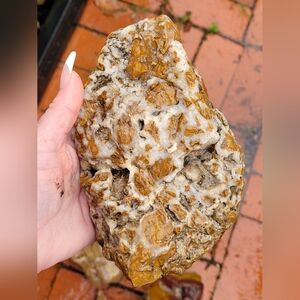 Rough Lapidary Jasper Bundle Of 2